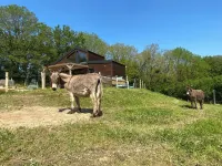 La Cabane du Petit Moulin Hotels in Bressuire