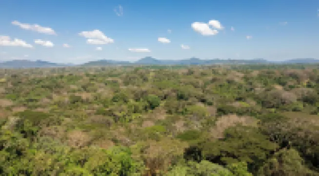 Casita Niaku by Wynwood House