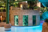 Quality Hotel the Reef - Pools