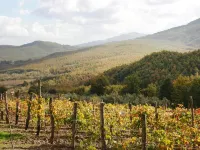 Country House in Chiusdino with Panoramic Views Hotels in Chiusdino