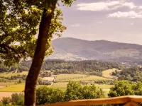 Villa in Tuscany with Heated Pool & Sports Court Hotels in Poppi