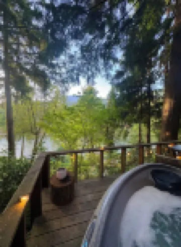 Cozy Tiny Cabin with RIVER VIEWS! Sleeps 3, hot tub, wood stove, fire pit!