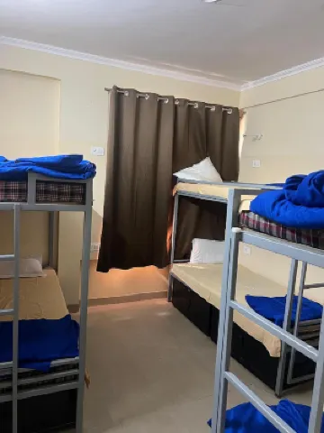 Gypsy Monkey のホテル