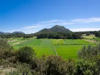 Can Pistola - Villa With Private Pool In Algaida Hoteles en Algaida