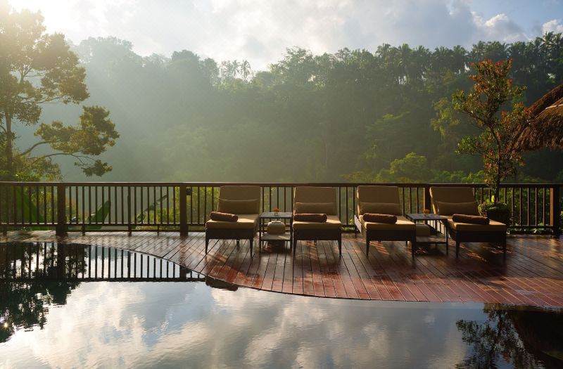 Nandini Jungle by Hanging Gardens photo 3