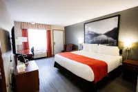 Super 8 by Wyndham Drayton Valley Hotels in Drayton Valley