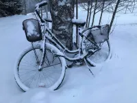 Ölrun Stuga - Homestays