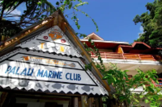 Antelope Guesthouse Hotels in Koror