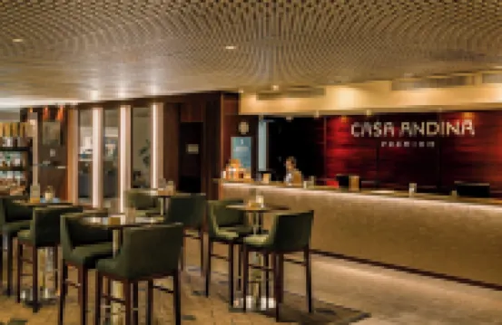 카사 안디나 프리미엄 미라플로레스