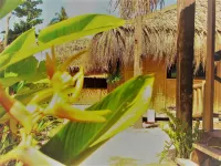 Siargao Tropic Hostel