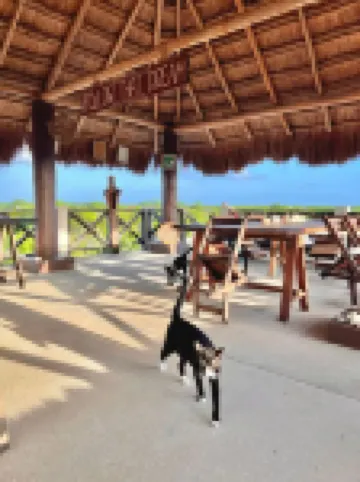 Hotel Jaiba Mahahual - Adults Only