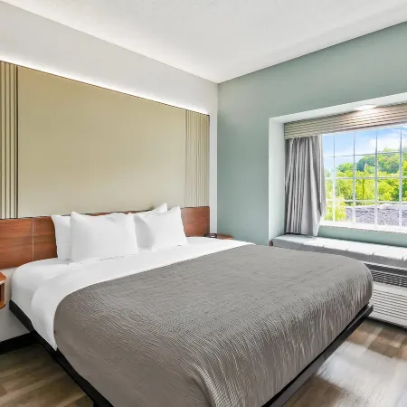 Microtel Inn & Suites by Wyndham Washington/Meadow Lands