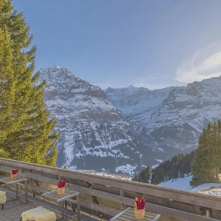 Alpinhotel Bort