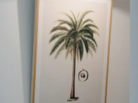 The Warners Bondi Hotels in Bondi Beach