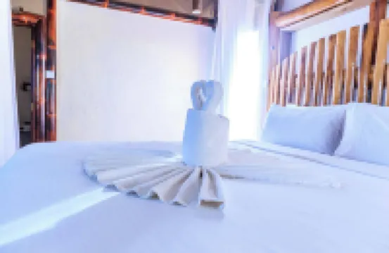 Samburu Elephant Lodge Hotels in 