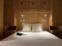 蒂涅2100號的萊斯弗洛孔