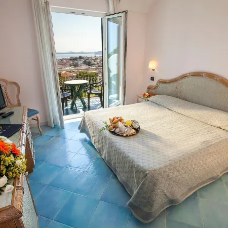 Hotel Terme President