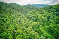 Beech Creek Cabin - Wifi