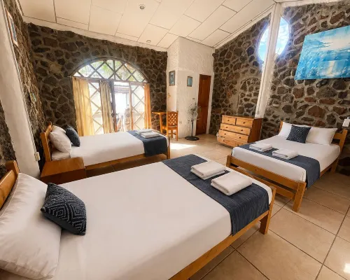 penguin Hotels in Puerto Ayora