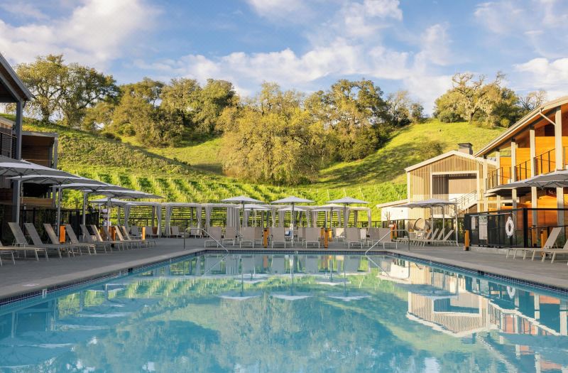 Appellation Healdsburg photo 2
