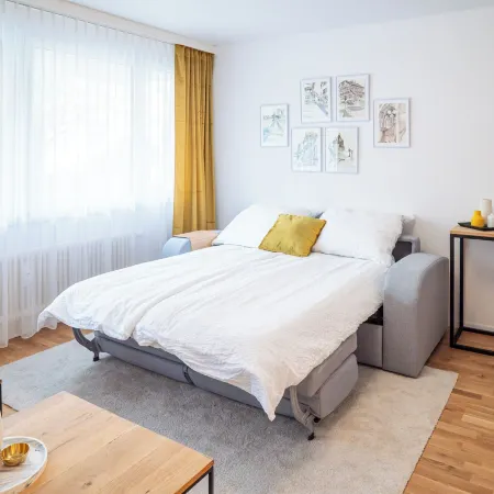 Stylish Apartment in Heart of Basel