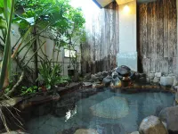Ryokan Tsukimiso - avec sources thermales