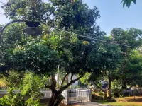 Bumi Abah Homestay - 海滩