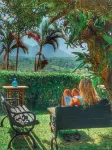 Hotel Juayua - Cho phép mang theo thú cưng