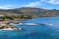 Hermanus Backpackers & Budget Accommodation - Pool