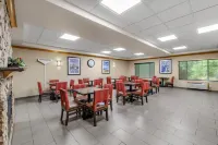 Comfort Suites Airport - فطور