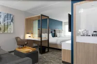 SpringHill Suites Durham City View - Gym