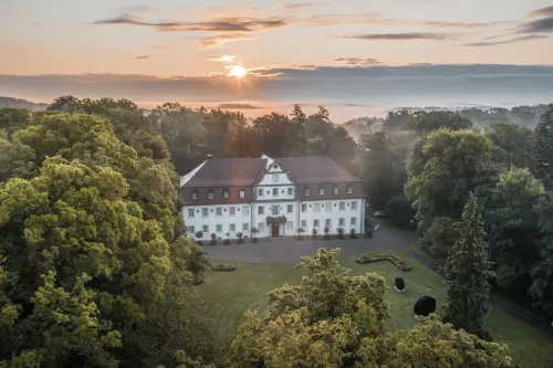 Wald & Schlosshotel Friedrichsruhe - Pet friendly