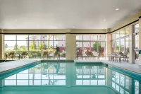 DoubleTree by Hilton San Francisco Airport North Bayfront - Pools
