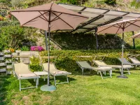 Viola - Pet-friendly