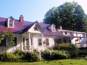 Buttonwood Inn on Mount Surprise