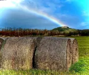"la Casa Delle Bimbe" Hotels in Monteverdi Marittimo