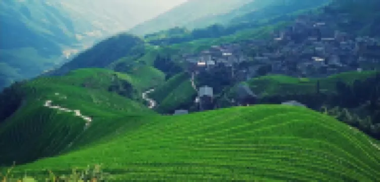 龍脊梯田遠近之間民宿（平安寨）