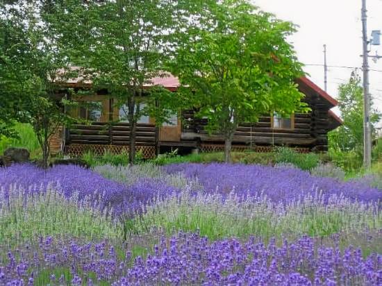 ログコテージ ひまわり 中富良野 宿泊予約 安い料金プラン 口コミ 部屋写真 Trip Com