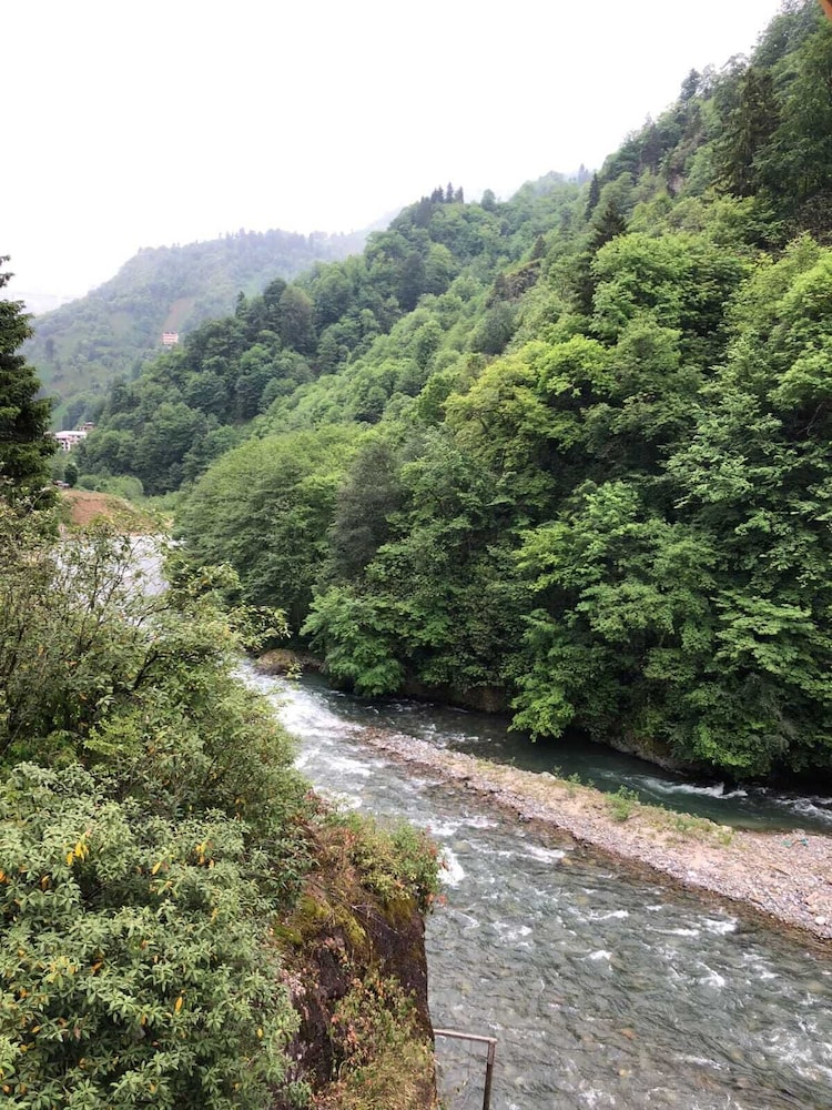 Ayder Valley Palace