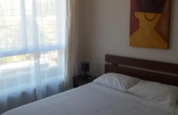 Viana的Viña del Mar公寓