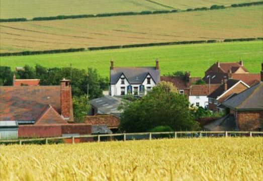 5. 더 블루 벨 인..