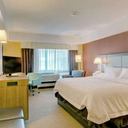 Hampton Inn & Suites Boston Crosstown Center