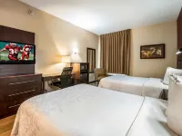 Red Roof PLUS+ Austin South – Airport Hotels near Garrison Park