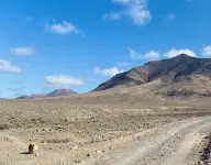 Casa Paca - Your Private Oasis in Lanzarote - Paradise by the Sea