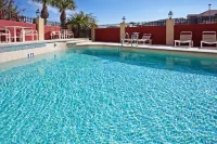 Holiday Inn Express & Suites TAMPA NORTHWEST-OLDSMAR by IHG - Pool
