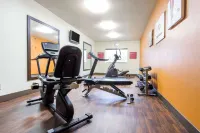 Comfort Suites Rochester Henrietta University Area - gimnasio