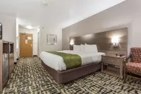 Quality Inn & Suites Omaha Chalco - Uima-altaat
