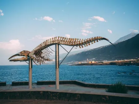 Casamarilla Отели в г. Garachico