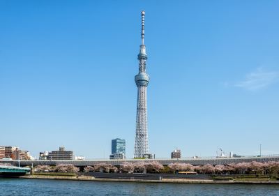 ホテル周辺 京成リッチモンドホテル東京押上の写真