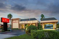 Orlando Palms